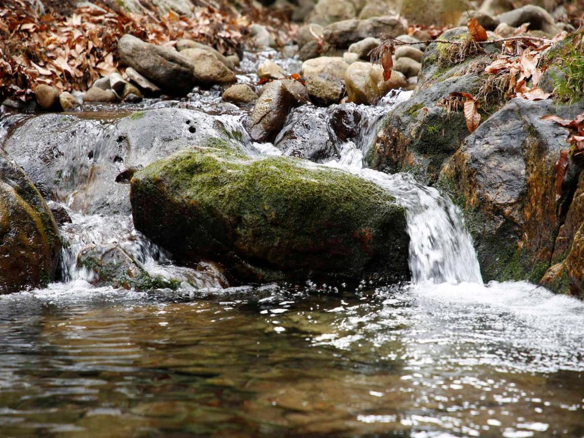 Отель Akame Onsen Yamanoyu Yumoto Akame Sansuien Nabari Экстерьер фото